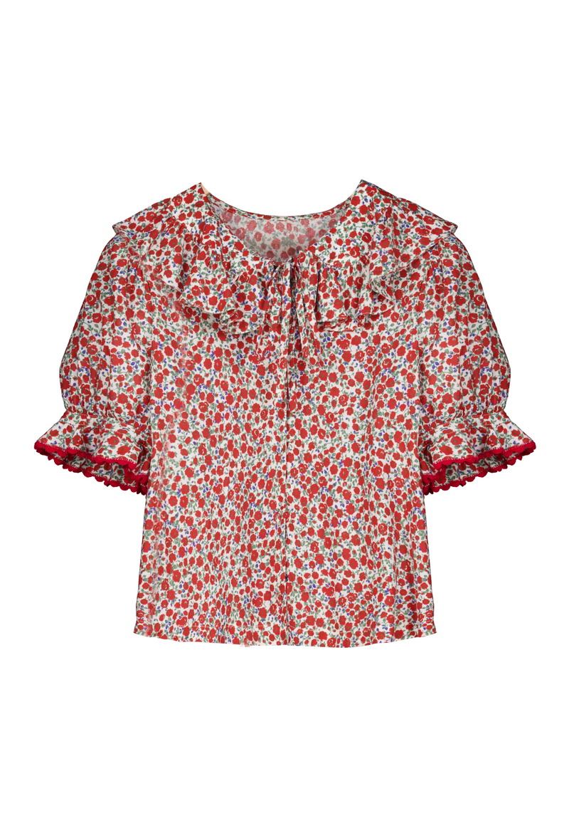 Alexa Red Floral Blouse