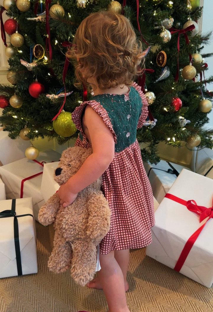 Ines Red Gingham Girl's Dress