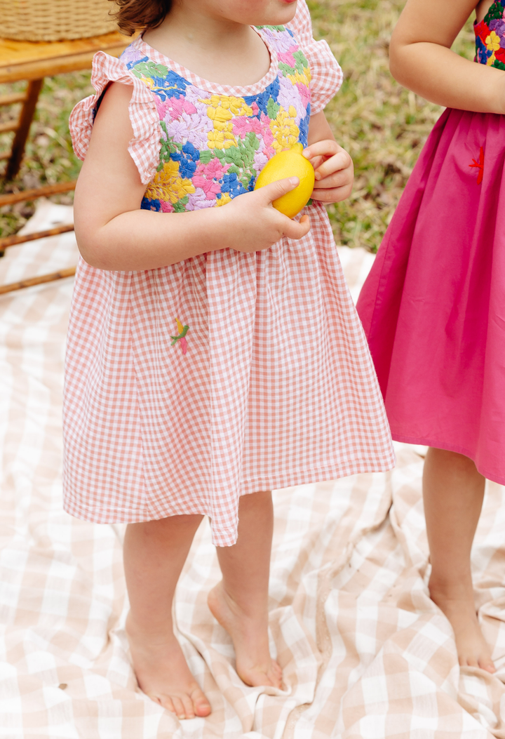 Lolita Girls Dress Childrens Lolita Pink Gingham Fiesta Girl's Dress Lolita Pink Gingham Fiesta Girl's Dress