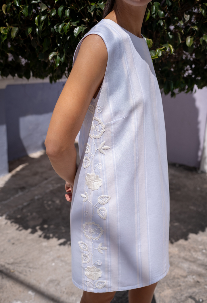 Ana Rayas Azules Short Dress