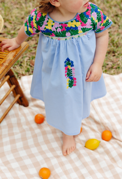 3t blue dress Little Bitty blue and white checkered dress size 3T 100% cotton