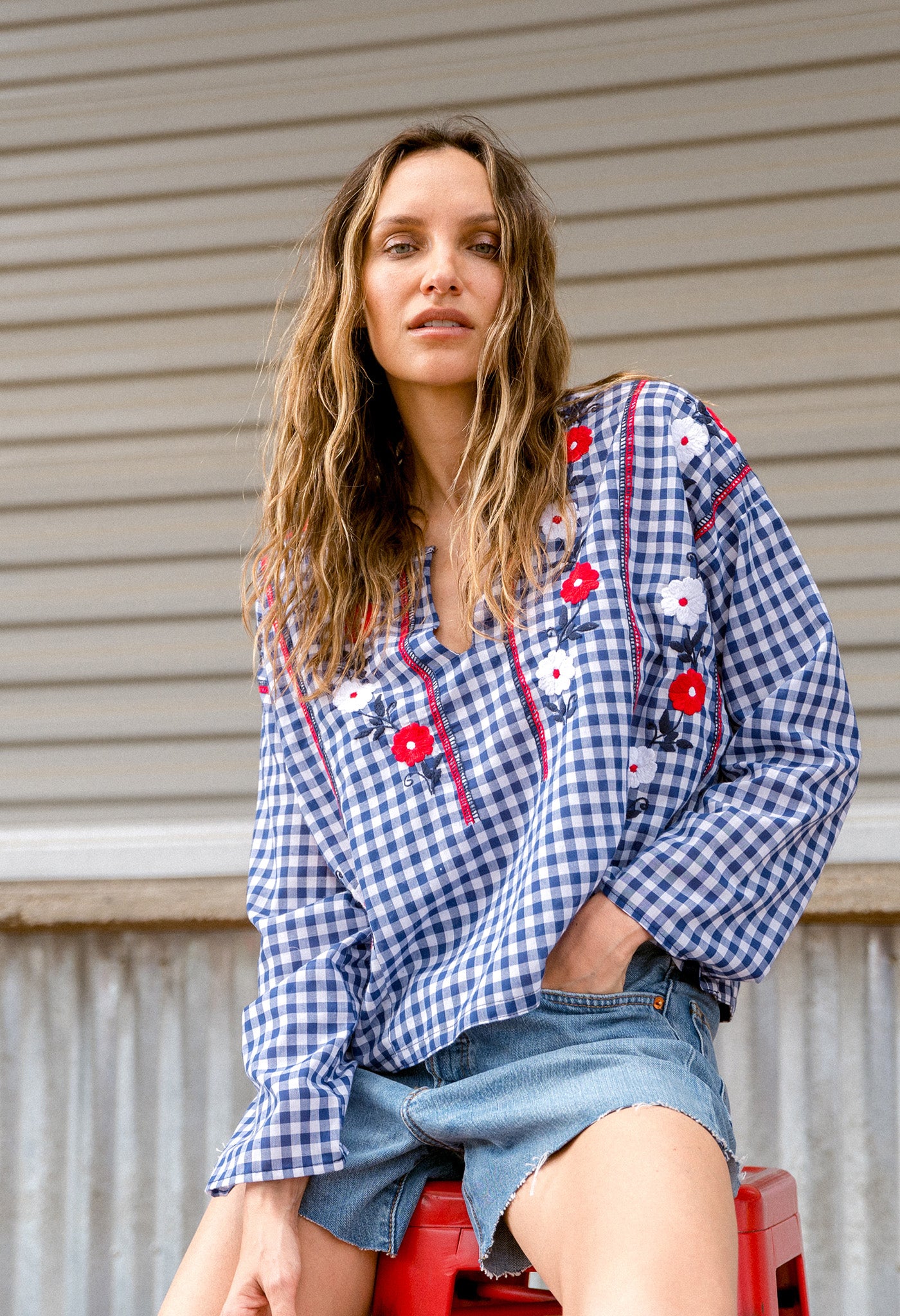 Alejandra Azul Marino Gingham