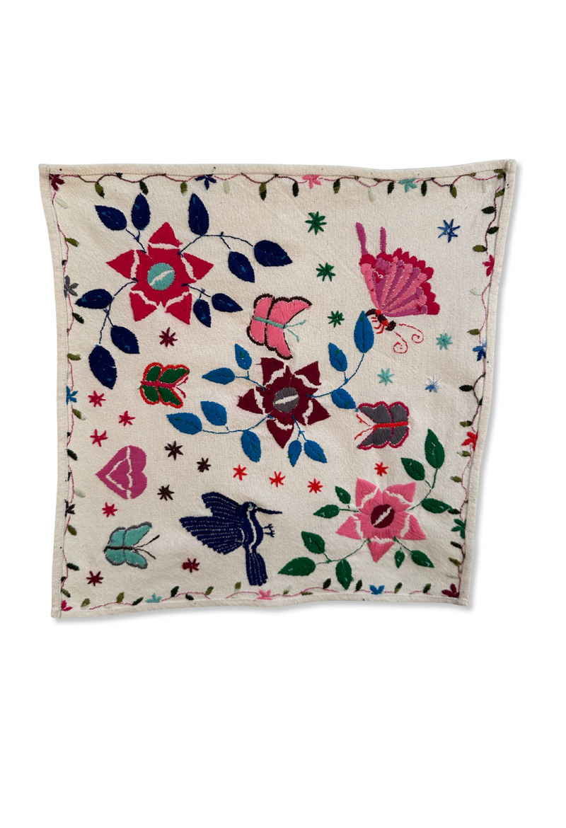 Embroidered Art: Colbri y Mariposas