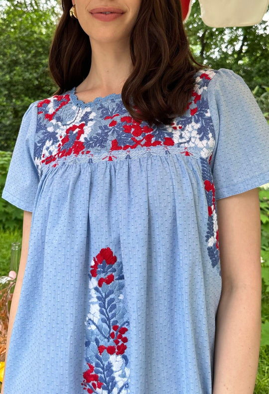 Liliana Swiss Dot Azul Short Dress