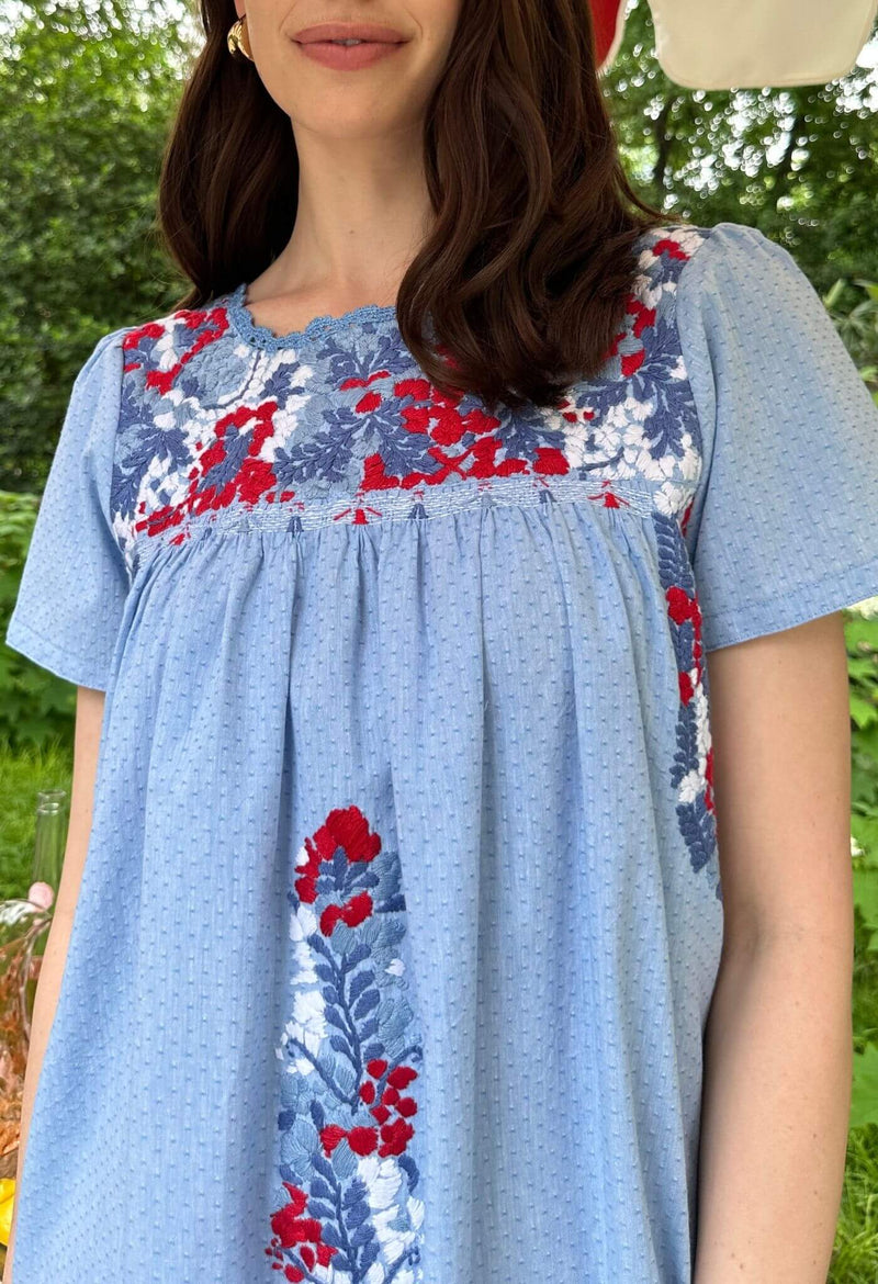 Liliana Swiss Dot Azul Short Dress